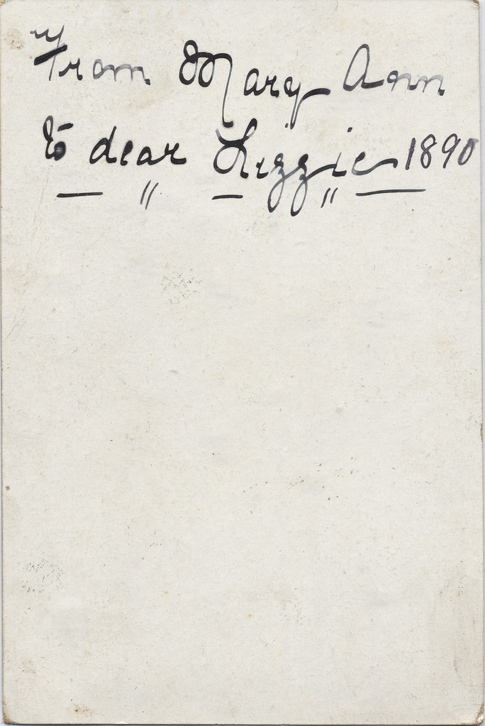 1890A2NewYearSceneSnowBatsR Greg Buick Flickr