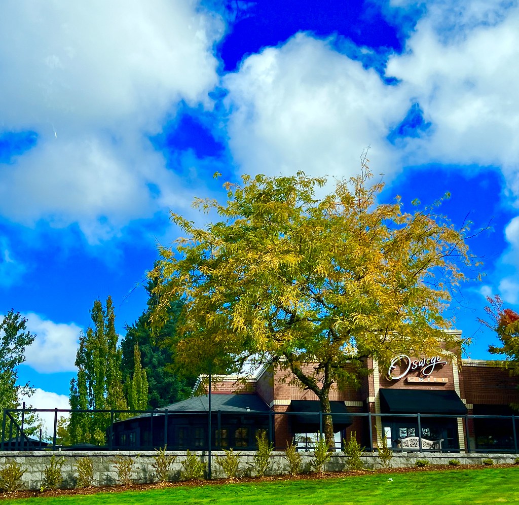 Continuing fall colors. Lake Oswego, Oregon. October 2023 Flickr