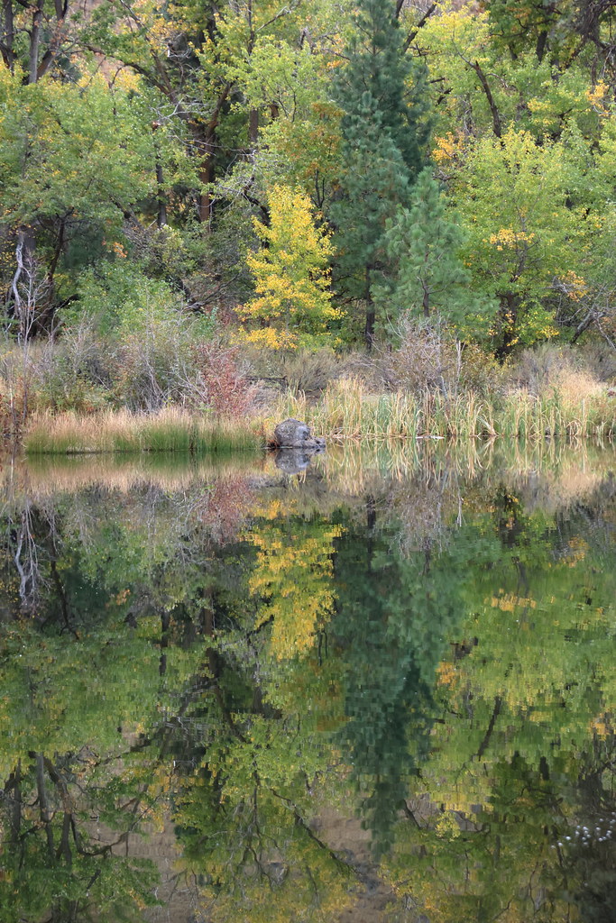 Tim's Pond along Highway 12 Got a few photos on a drive up… Flickr
