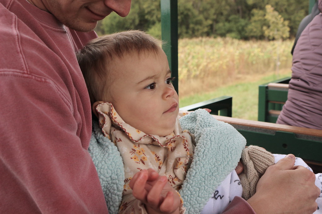 Roca Joy on the Train Lisa Henjes Flickr