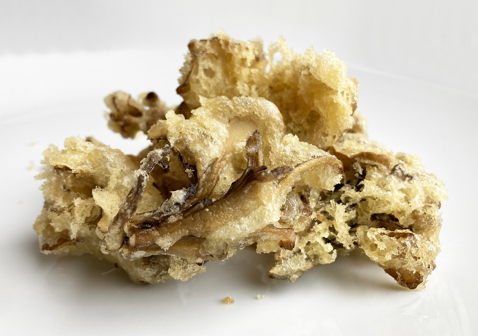 Maitake paddenstoel (Eikhaas) Aziatischeingrediënten.nl