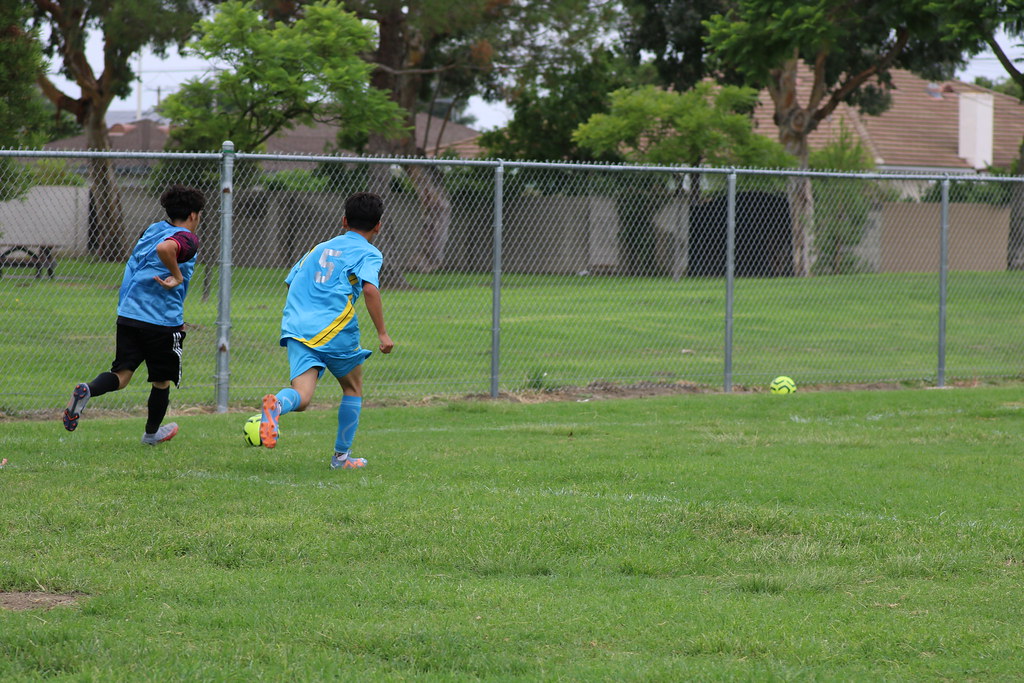 IMG_5457 Miguel Gonzalez Flickr