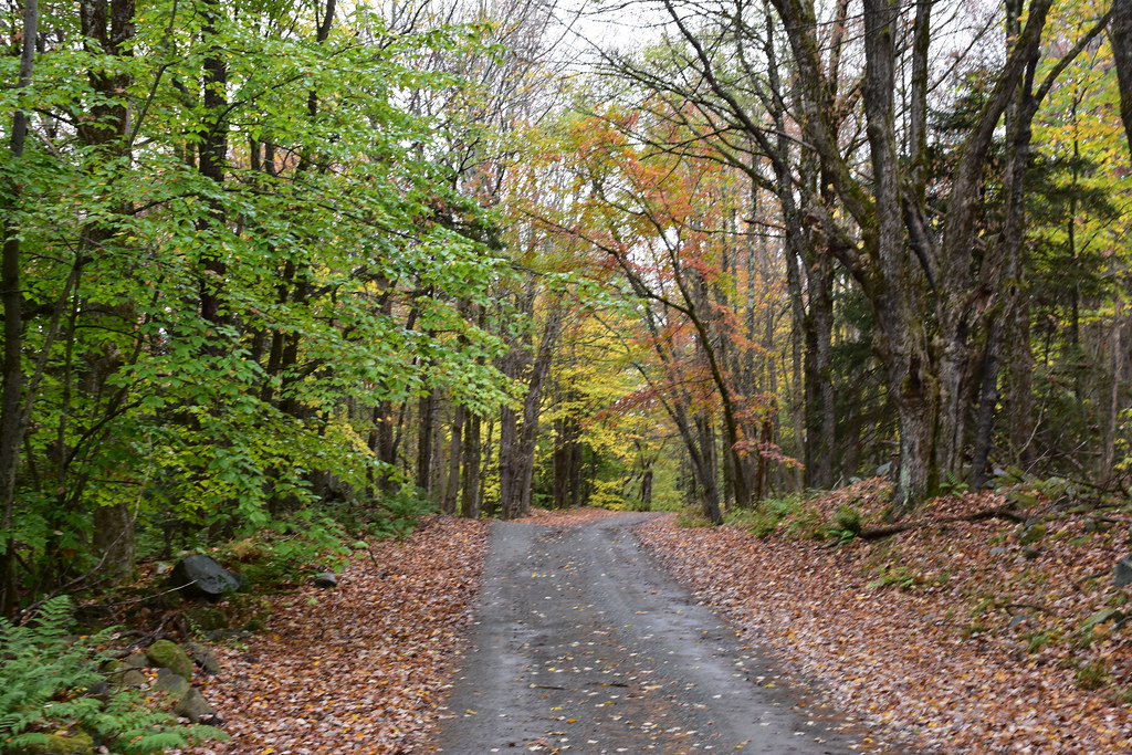 Dyken Pond Road Rensselaer County upstate New York MikeNYAZ Flickr