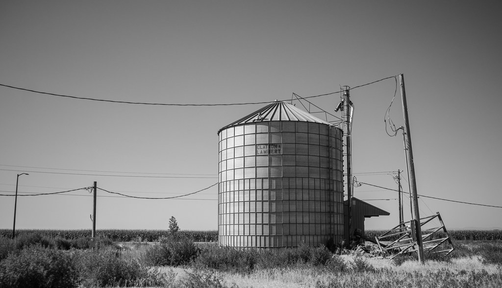 Hidden in Plain Sight sos19006 Flickr