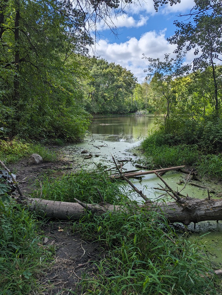 Hyland Regional Park Muskrat pond, Bloomington Mn Chris Romer Flickr