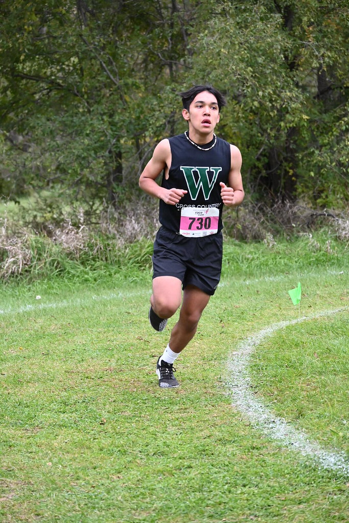 DSC_0365 Stanley Ford Flickr