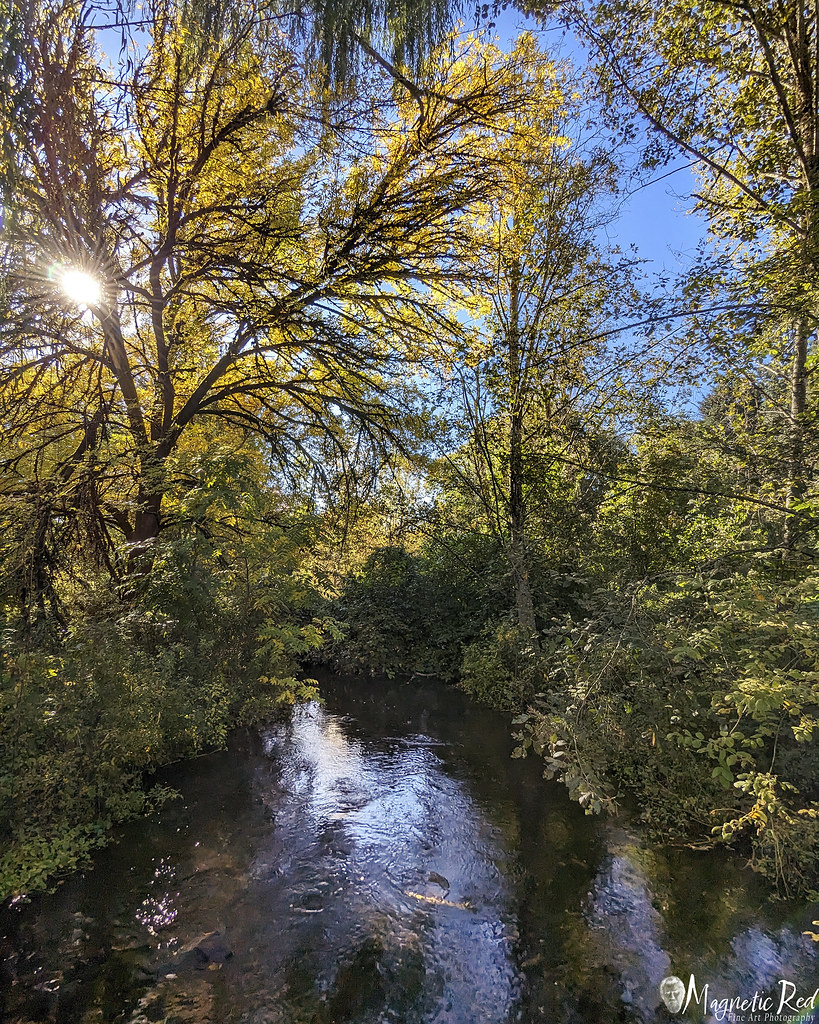 Fall Colors Johnson Creek Park, Portland Oregon Flickr