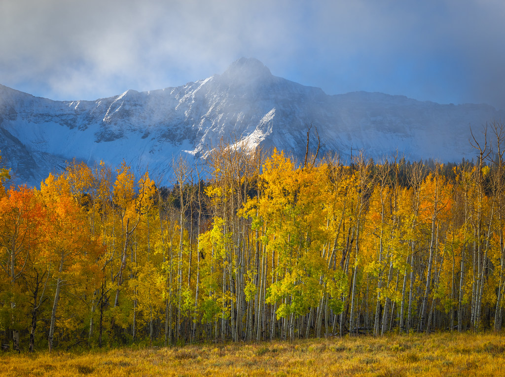 Dallas Divide Range Ridgway Colorado Autumn Colors Sunrise Snow Stormy