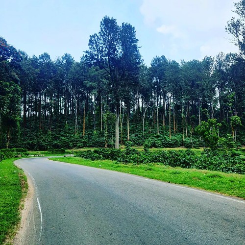 best resorts in for couples (5) amazingworld.travel/… Flickr