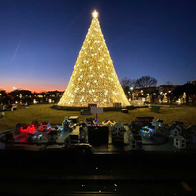 Wild Waves Festival of Lights Wild Waves Festival of Light… Flickr