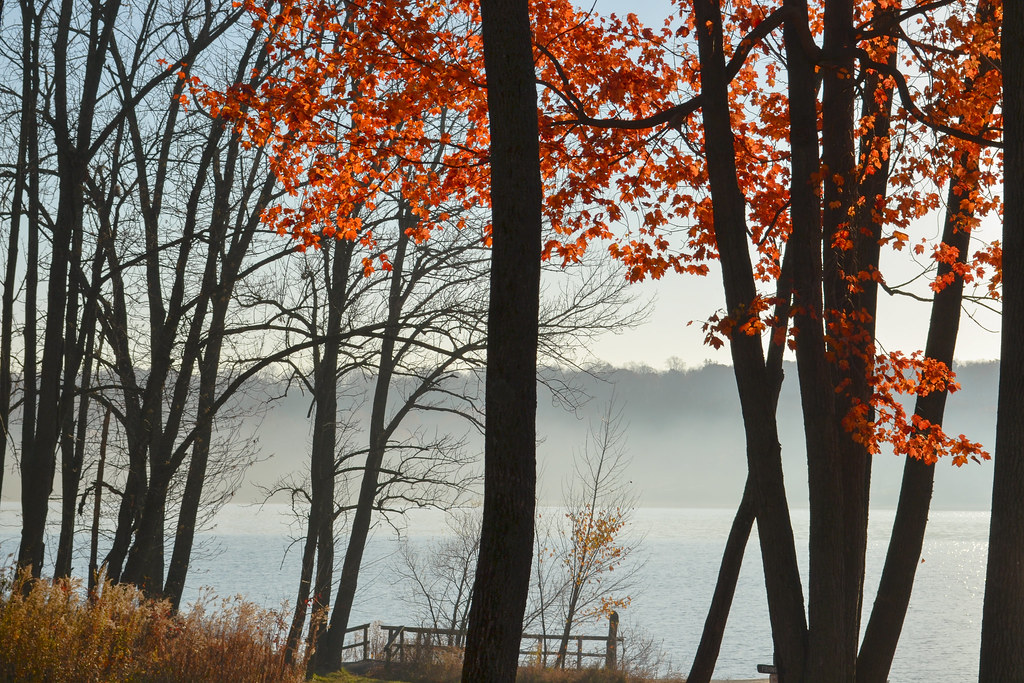 Peace Valley Park, Nov 19, 2016 Foggy lake morning at Peac… Flickr