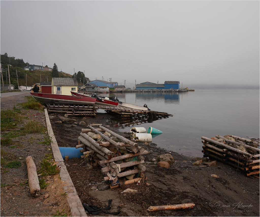 Cox's Cove 4474 Cox's Cove, Newfoundland S & D Alexander Flickr