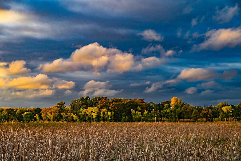 Across the Marsh Eagle Point Lake dshaw997 Shaw Flickr