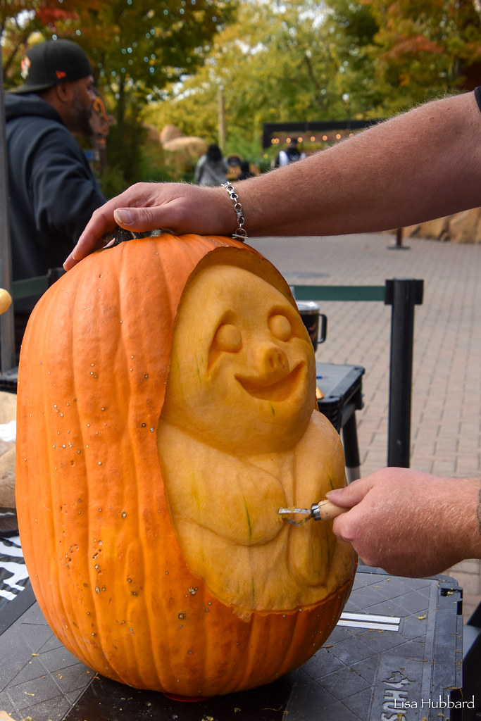 DSC_4906.jpg Lisa Hubbard Flickr