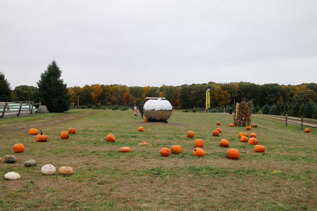 IMG_4893 Robert Melville Flickr