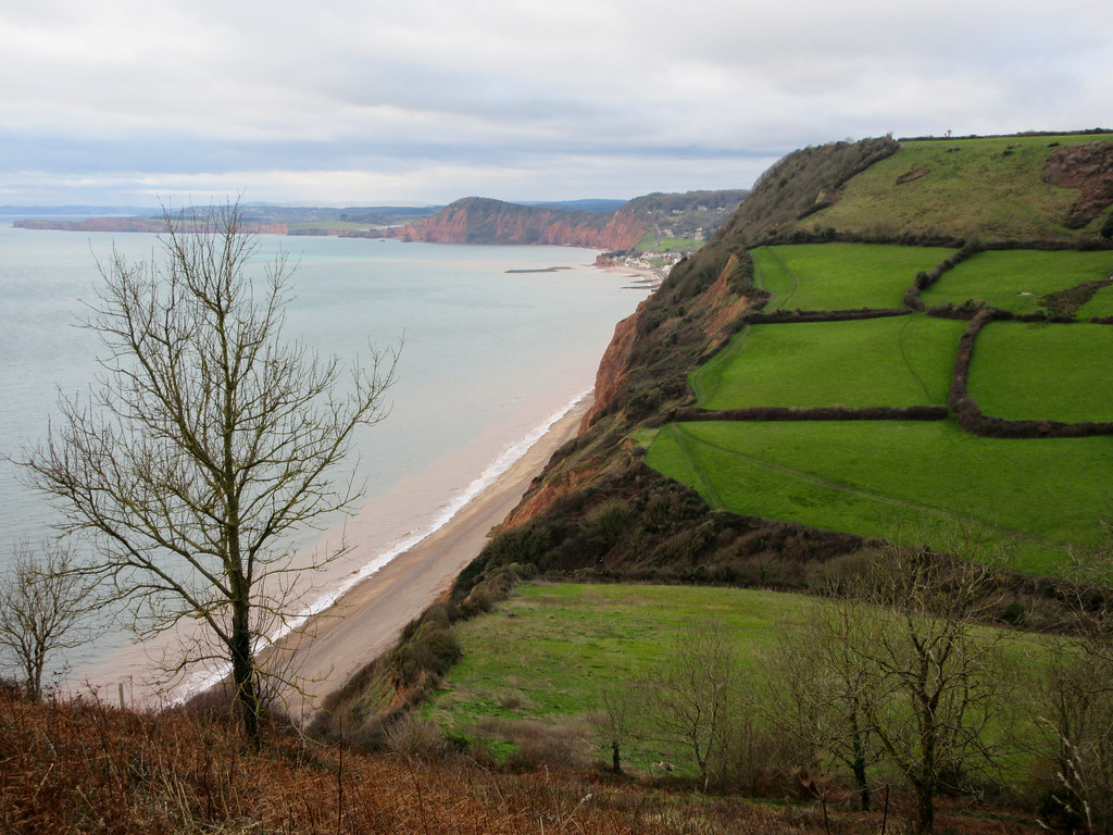Sidmouth and Weston walk Mouth from Higher Dunsco… Flickr