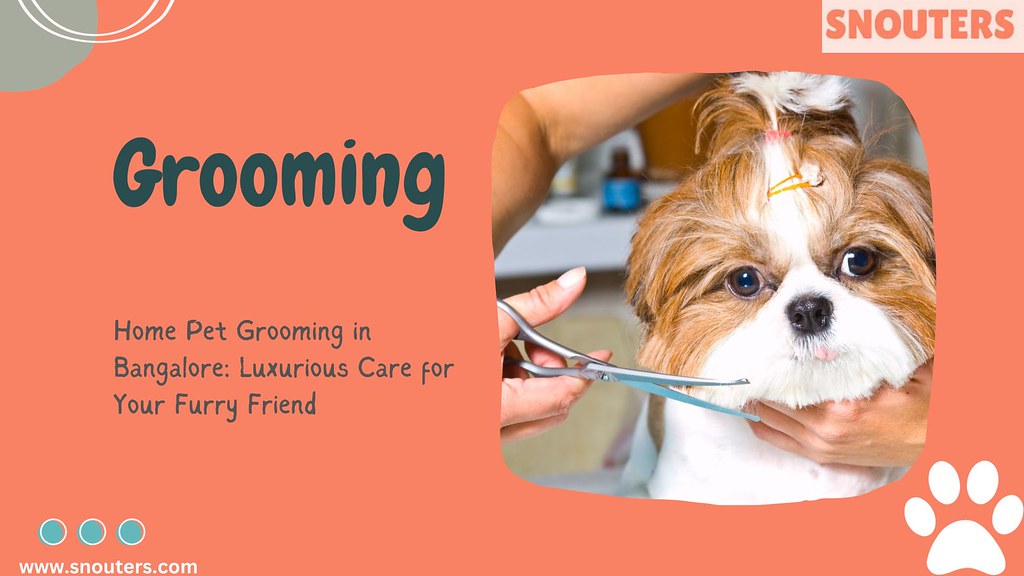 Home Pet Grooming in Bangalore Luxurious Care for Your Fu… Flickr