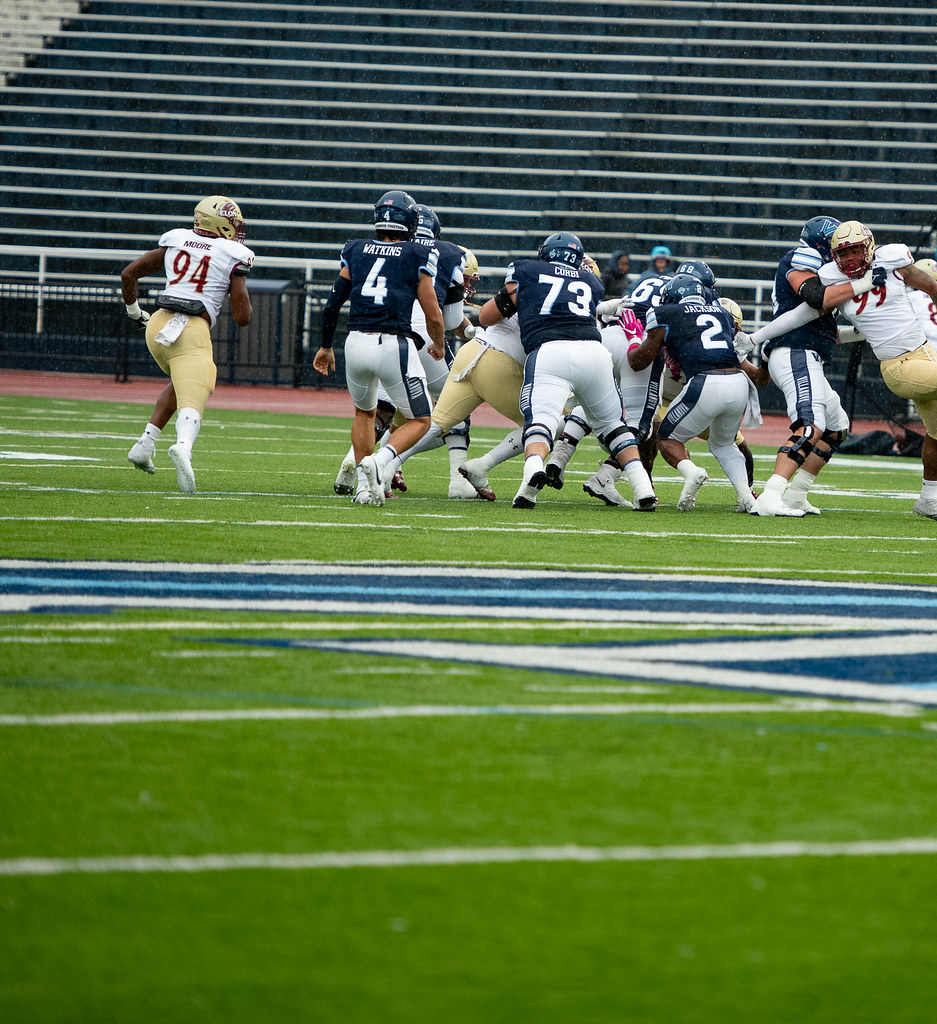 wilkins8 Wilkins Flickr