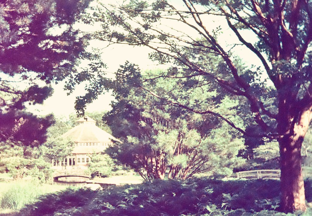 kodak half frame rhode island roger williams view photographynatalia