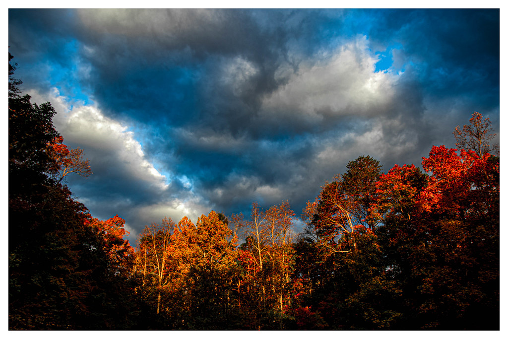 Morning Light Laurel Pond Will Hofacker Flickr