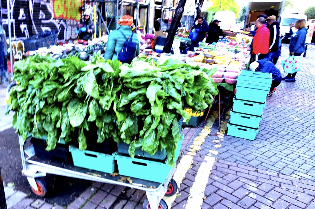 Fresh green leaves Elm Grove, Peckham Gerry Popplestone Flickr