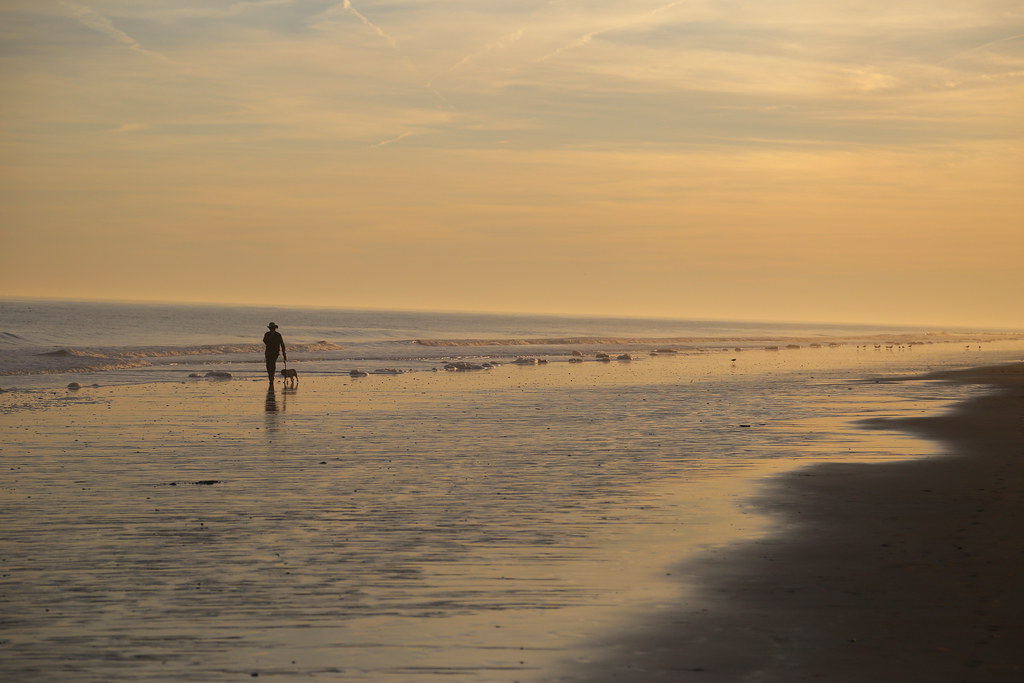 Walking the dog Edisto Beach S.C. DAVID THOMPSON Flickr