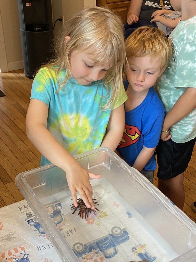 End of Summer Reading 82023 Stephentown Memorial Library Flickr