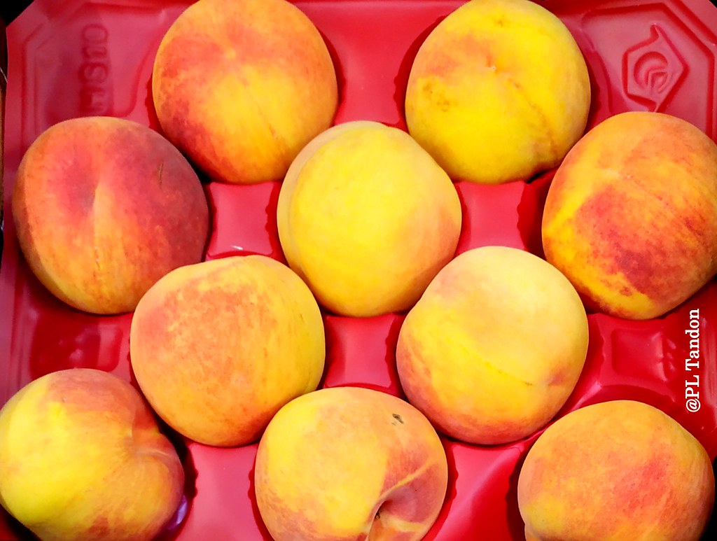 Yellow Peaches Yellow Peaches, Waterloo, Iowa P. L. Tandon Flickr