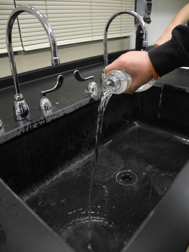 DSCN9232 Barron Rose Flickr