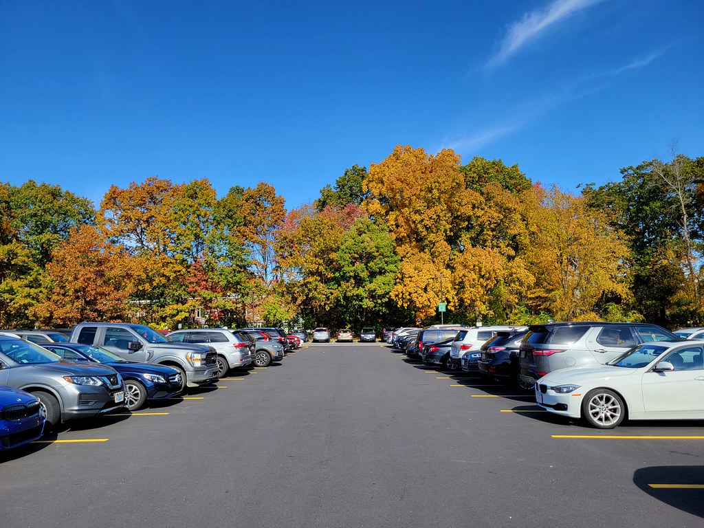 October parking lot Trim Lot Babson College Wellesley, MA Lorianne