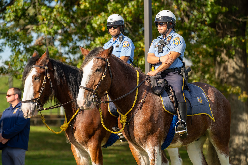 PPR01962 Philadelphia Parks & Recreation Flickr