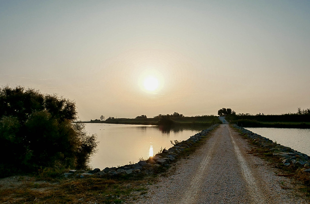 L'aurora di bianco vestita massimo dalmonte Flickr