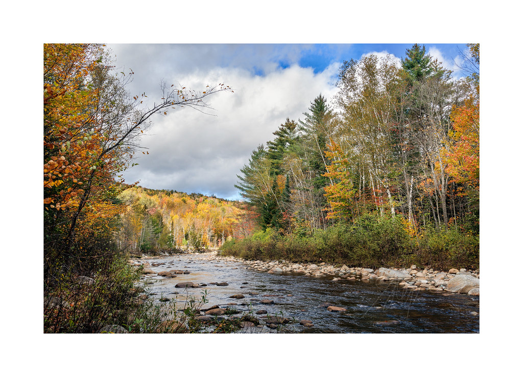 The Swift River Maine USA Rivers were 30 yards or more o… Flickr