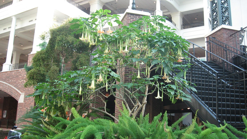 Nashville Trip 2023 311 Mount Carmel Flickr