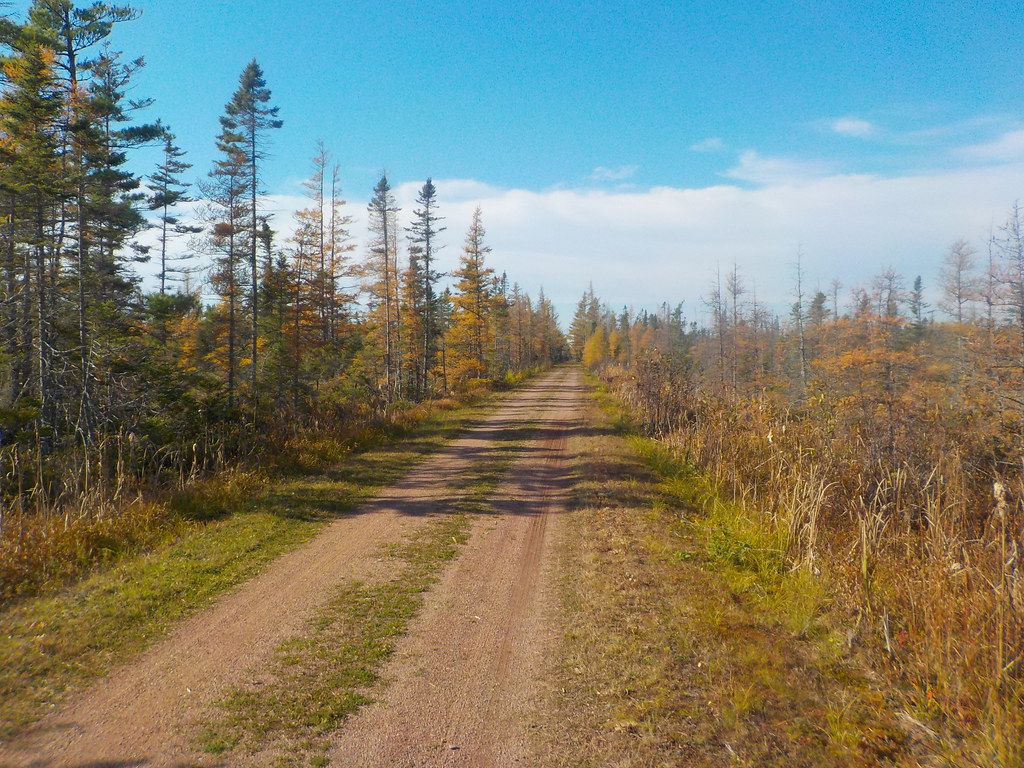 Confederation Trail, Wood Islands, PEI October 28, 2023 Larry Flickr