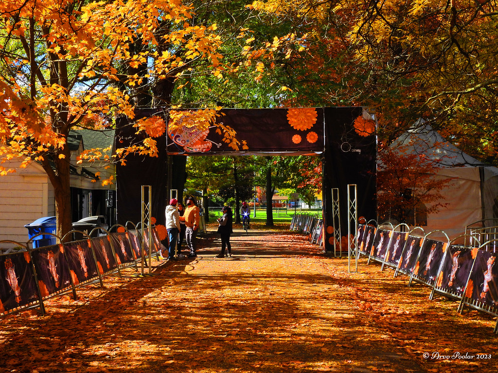 Images from Woodbine Beach A cultural event set up along t… Flickr
