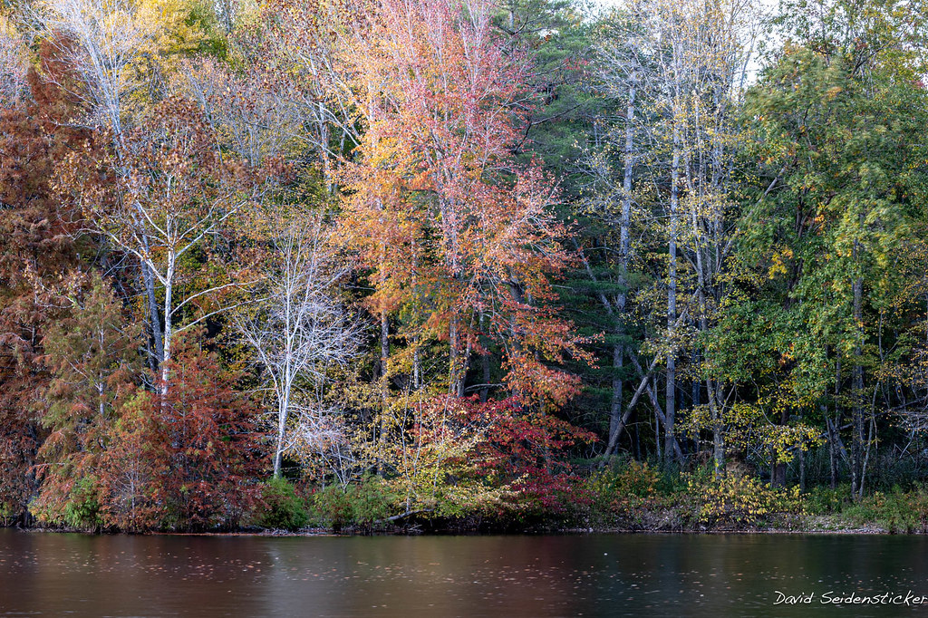 Lake Tecumseh Some of the colors on the shore of the lake,… Flickr