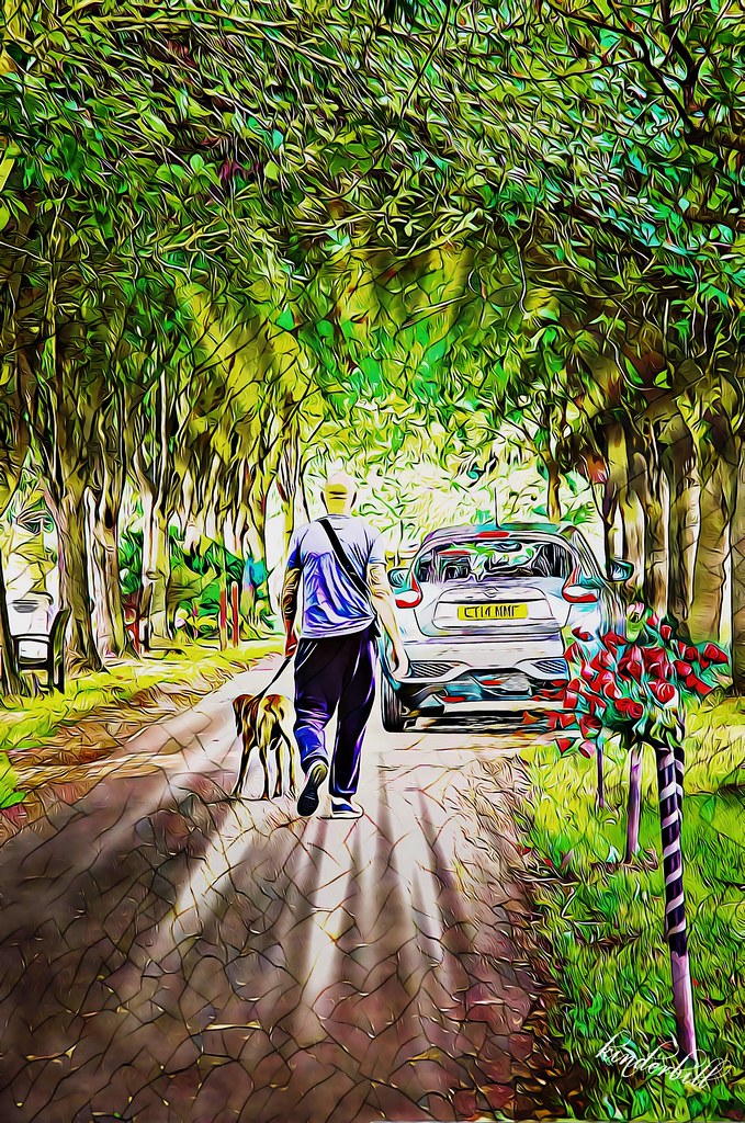 Tunnel of Light / Sliders Sunday Wharf Road Cemetery. Stan… Flickr