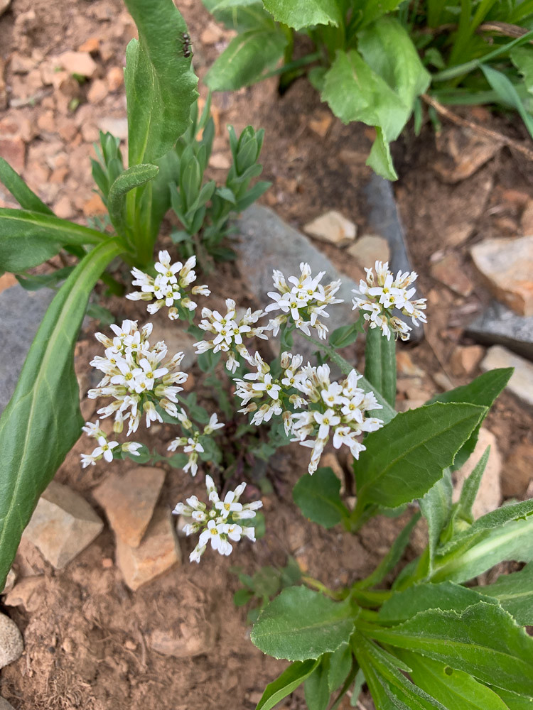 IMG_1314.jpg Richard Baxter Flickr