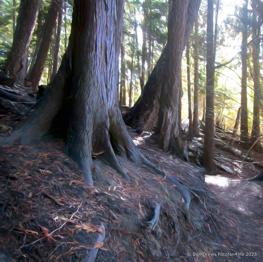 Cress Creek Trail autumn DF231007DD_1720t Don Drews Flickr