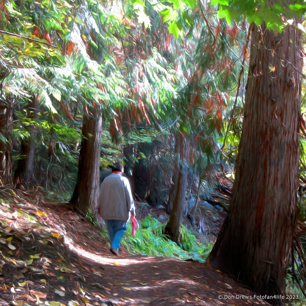 Cress Creek Trail autumn DF231007DD_1711t Don Drews Flickr