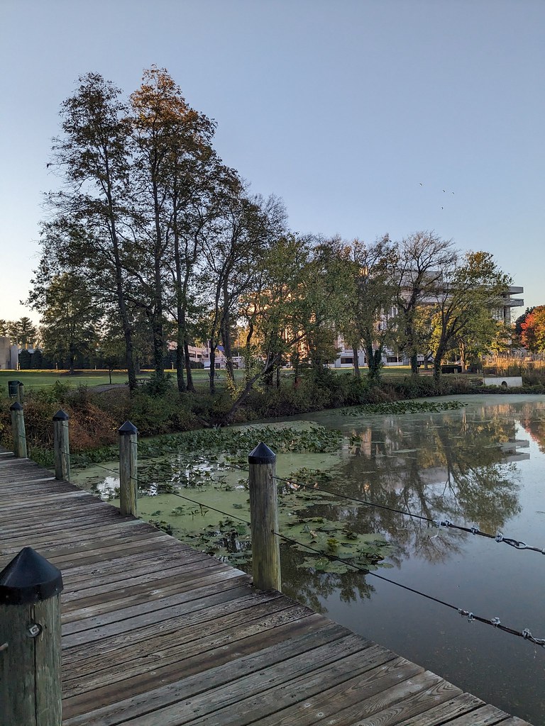 Schoolhouse Pond Jesse Thrift Flickr