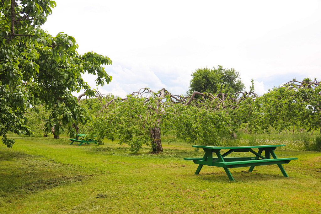 Domaine SteFamille, Île d’Orléans, Québec, Canada Flickr