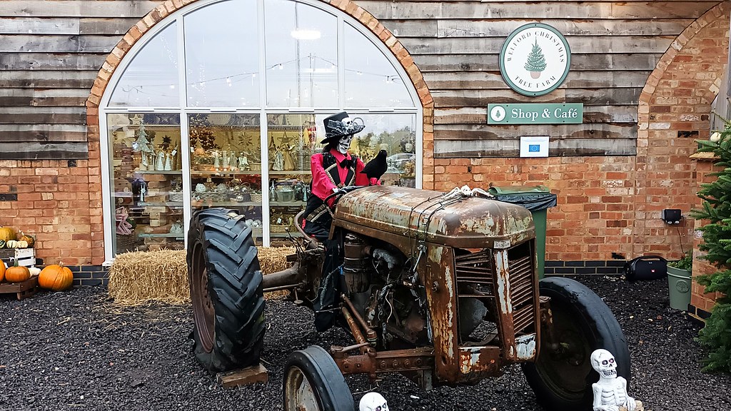 WelfordChristmas Tree Farm Saxon Sky Flickr