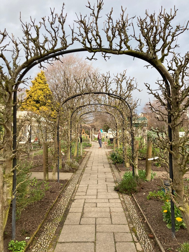 30_NZ_Christchurch_Gardens Sarah Willett Flickr