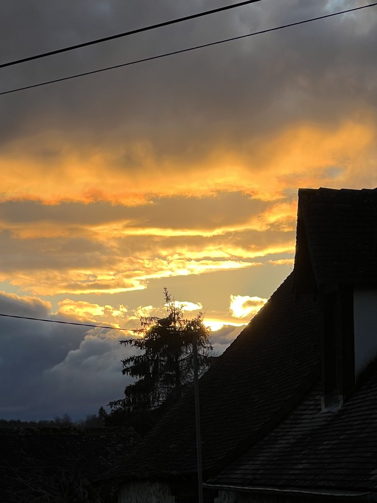 IMG_1522 Terry Miles Flickr