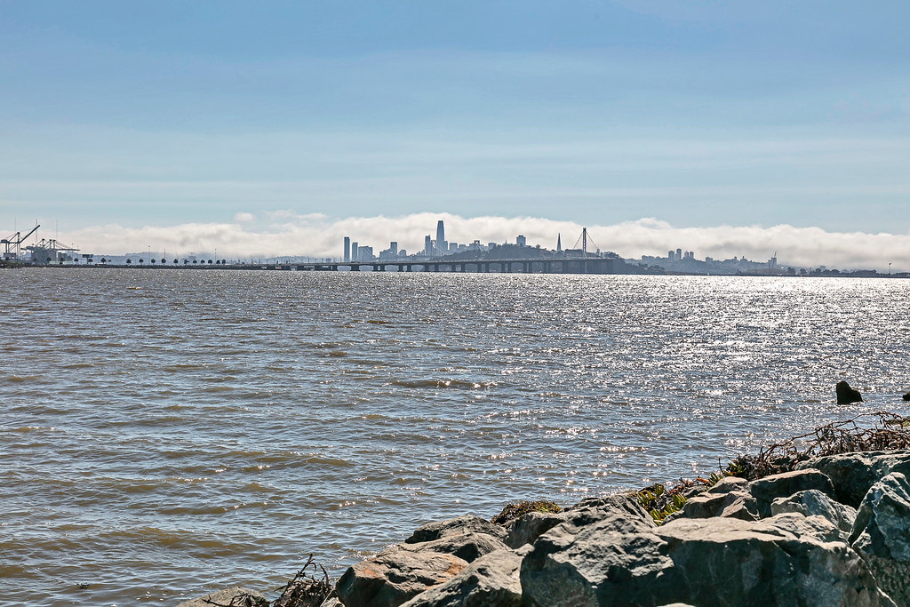 8_Admiral_Dr_Unit_124_Emeryville_CA_94608__72ppi3 Flickr