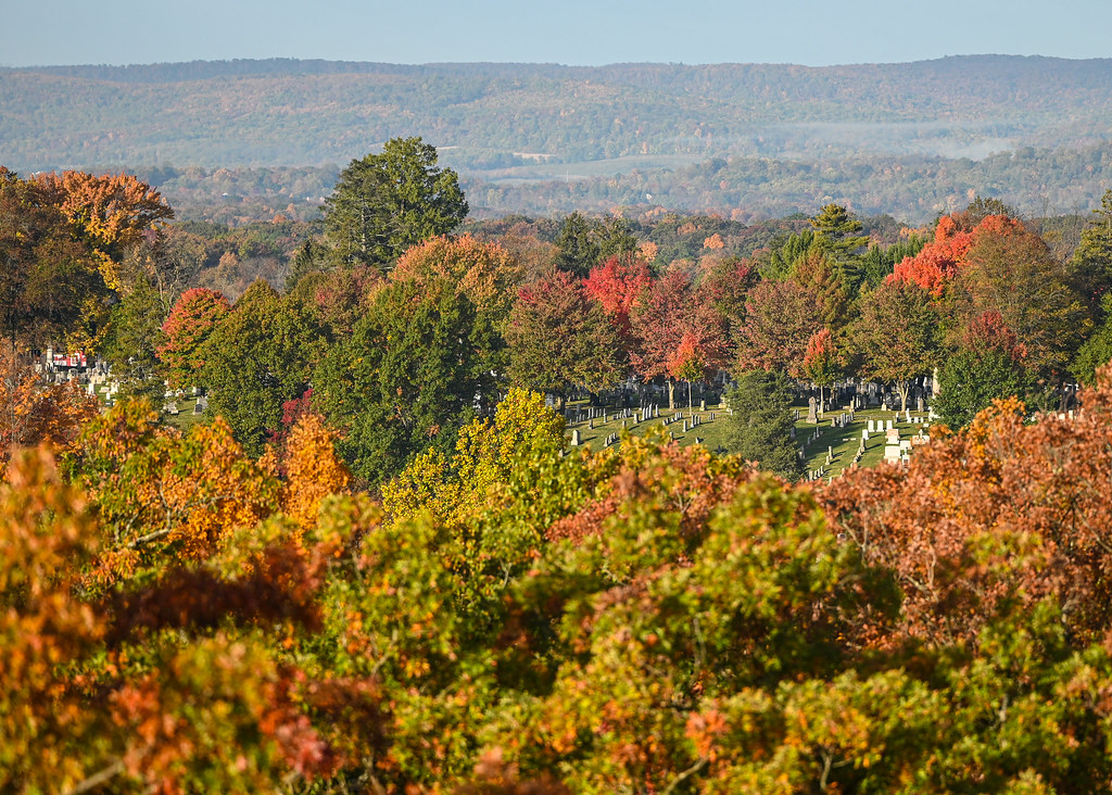 231025FBT5221762 Patrick OReilly Flickr