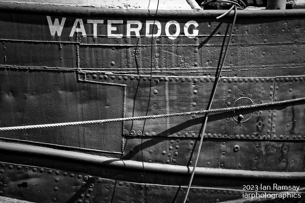 WATERDOG. WATERDOG. Originally named ‘Flyboat 81’ it is be… Flickr