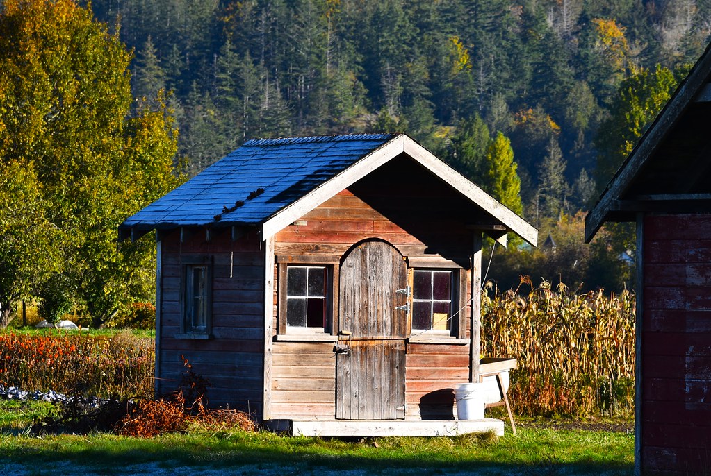 Old Shed In Blanchard, Washington Karen Molenaar Terrell Flickr